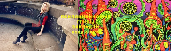 ALPHA PVP Богородицк
