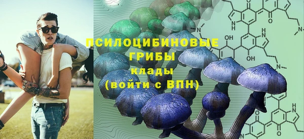 спиды Волоколамск